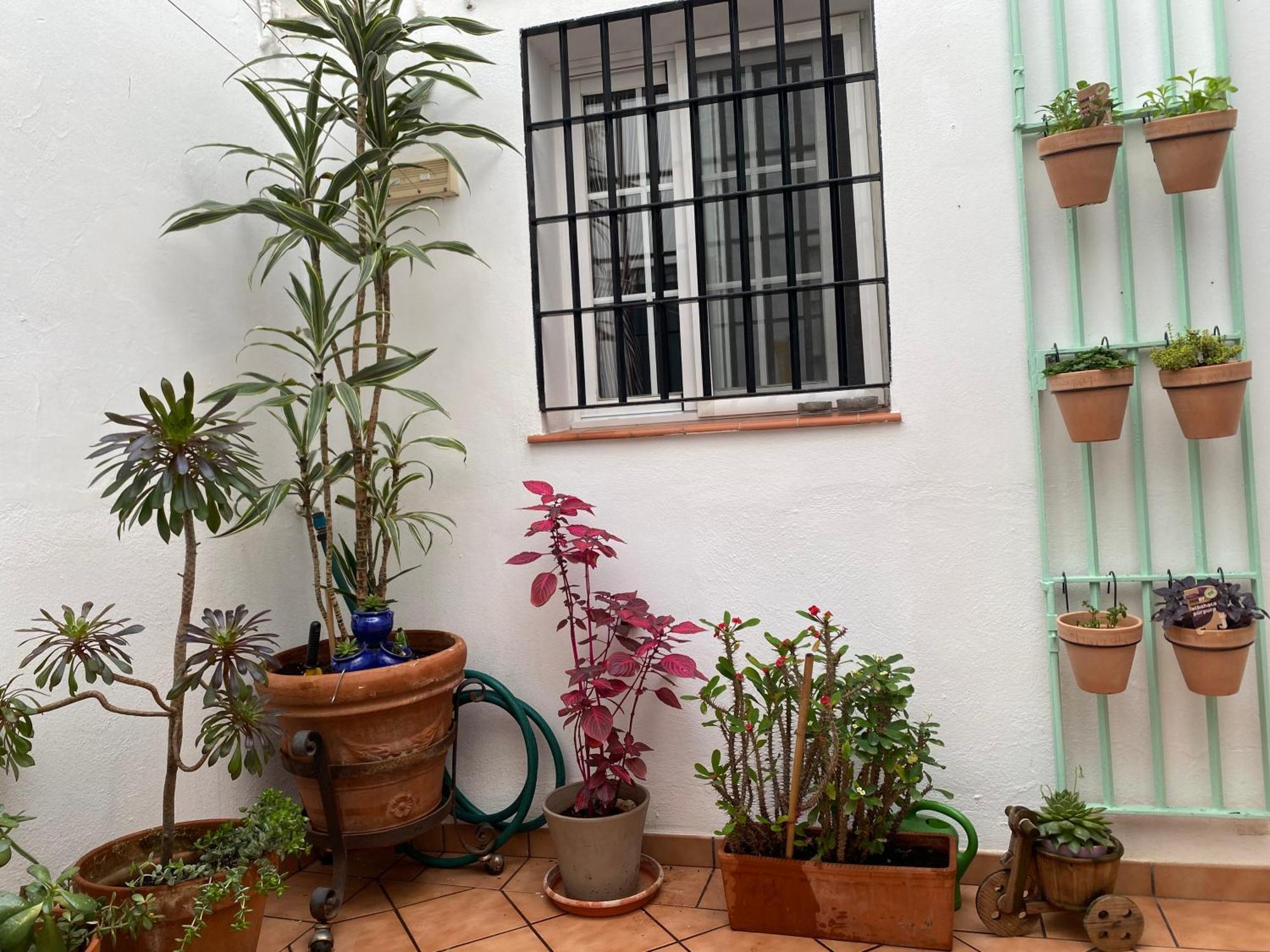 Enmitatiko Alcazar Viejo Apartamento Córdova Exterior foto